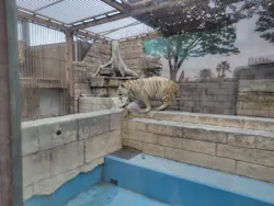 東武動物公園に投稿された画像（2026/4/5）