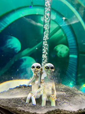 ひらかたパークに投稿された画像（2026/4/5）