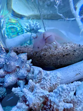 ひらかたパークに投稿された画像（2026/4/5）