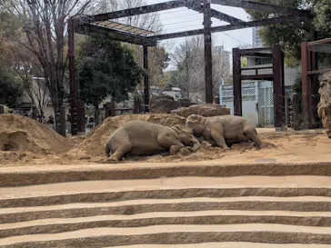 恩賜上野動物園に投稿された画像（2026/4/5）