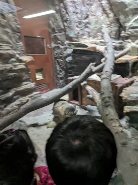 恩賜上野動物園に投稿された画像（2026/4/5）