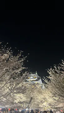 大阪城公園 西の丸庭園に投稿された画像（2026/4/5）