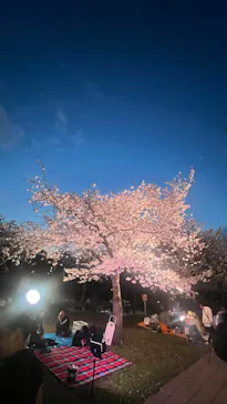 大阪城公園 西の丸庭園に投稿された画像（2026/4/5）