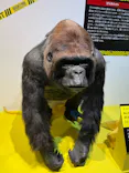 特別展「超危険生物展　科学で挑む生き物の本気」に投稿された画像（2026/4/5）