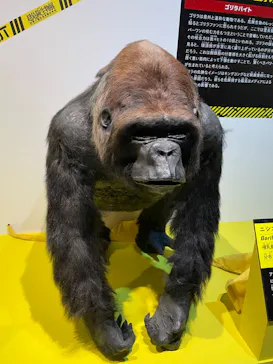 特別展「超危険生物展　科学で挑む生き物の本気」に投稿された画像（2026/4/5）