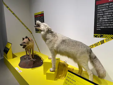 特別展「超危険生物展　科学で挑む生き物の本気」に投稿された画像（2026/4/5）