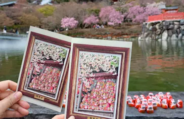 勝尾寺に投稿された画像（2026/4/5）
