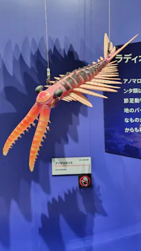 大絶滅展ー生命史のビッグファイブ（名古屋会場）に投稿された画像（2026/4/5）