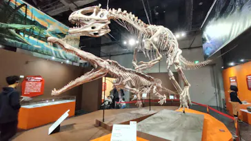大絶滅展ー生命史のビッグファイブ（名古屋会場）に投稿された画像（2026/4/5）