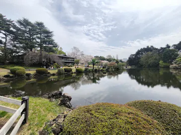 新宿御苑に投稿された画像（2026/4/5）