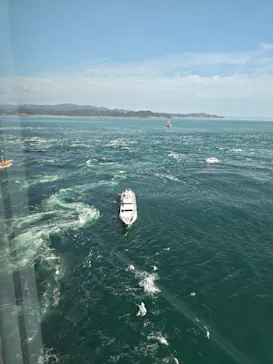 徳島県立 渦の道に投稿された画像（2026/4/5）