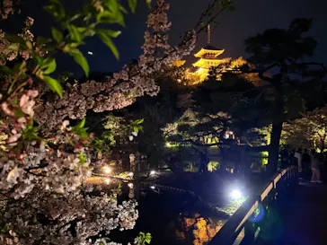 三溪園に投稿された画像（2026/4/5）