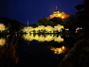 三溪園に投稿された画像（2026/4/5）