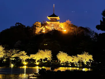 三溪園に投稿された画像（2026/4/5）