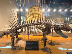 福井県立恐竜博物館に投稿された画像（2026/4/5）