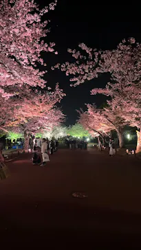 万博記念公園に投稿された画像（2026/4/5）