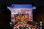 二条城2026 SAKURA NIGHTSに投稿された画像（2026/4/6）