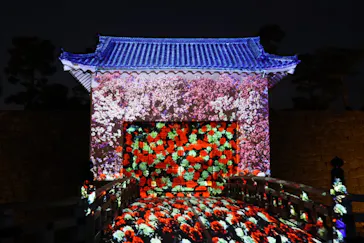 二条城2026 SAKURA NIGHTSに投稿された画像（2026/4/5）