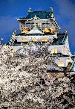 大阪城公園 西の丸庭園に投稿された画像（2026/4/5）