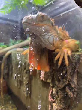 マクセル アクアパーク品川に投稿された画像（2026/4/5）