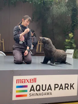 マクセル アクアパーク品川に投稿された画像（2026/4/5）