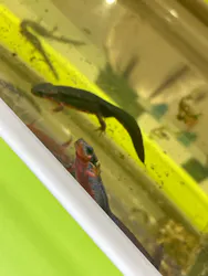 NIFREL（ニフレル）に投稿された画像（2026/4/5）