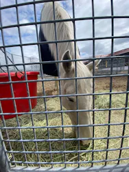 ノーザンホースパークに投稿された画像（2026/4/5）