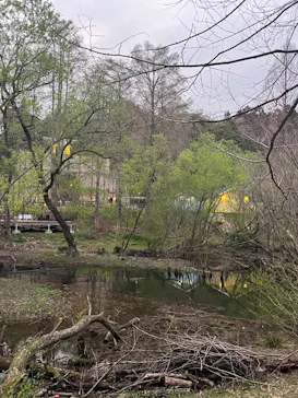 ムーミンバレーパークに投稿された画像（2026/4/5）