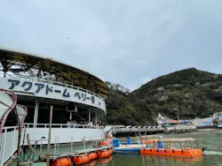 下田海中水族館に投稿された画像（2026/4/5）
