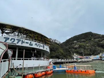 下田海中水族館に投稿された画像（2026/4/5）