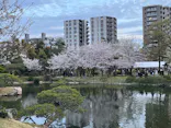 広島県縮景園に投稿された画像（2026/4/6）