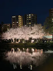 広島県縮景園に投稿された画像（2026/4/5）