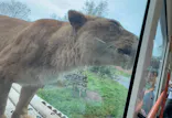 東京動物園協会_多摩動物公園に投稿された画像（2026/4/6）