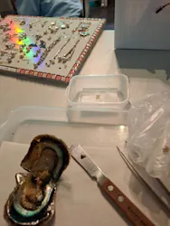 しながわ水族館に投稿された画像（2026/4/5）