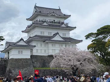 小田原城に投稿された画像（2026/4/5）