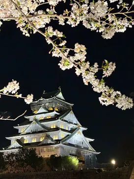 大阪城公園 西の丸庭園に投稿された画像（2026/4/6）