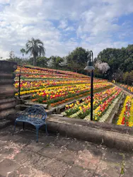 レオマリゾートに投稿された画像（2026/4/6）