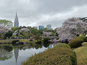 新宿御苑に投稿された画像（2026/4/6）