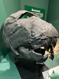 大絶滅展ー生命史のビッグファイブ（名古屋会場）に投稿された画像（2026/4/6）