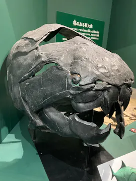 大絶滅展ー生命史のビッグファイブ（名古屋会場）に投稿された画像（2026/4/6）