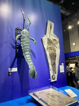 大絶滅展ー生命史のビッグファイブ（名古屋会場）に投稿された画像（2026/4/6）