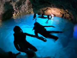 武藤潜水に投稿された画像（2026/4/6）