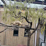 こども動物自然公園（埼玉県公園緑地協会）に投稿された画像（2026/4/6）