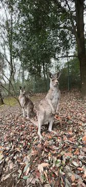 こども動物自然公園（埼玉県公園緑地協会）に投稿された画像（2026/4/6）
