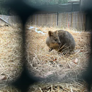 こども動物自然公園（埼玉県公園緑地協会）に投稿された画像（2026/4/6）