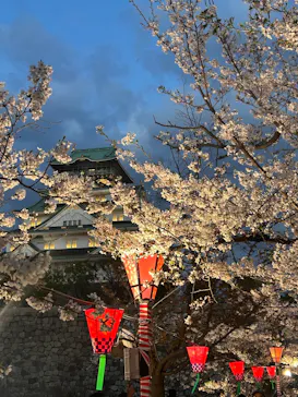 大阪城公園 西の丸庭園に投稿された画像（2026/4/6）