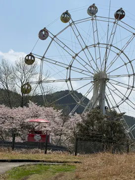 秋吉台自然動物公園 サファリランドに投稿された画像（2026/4/6）