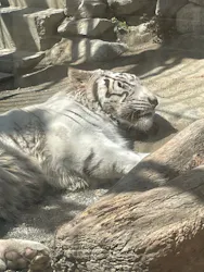 東武動物公園に投稿された画像（2026/4/6）