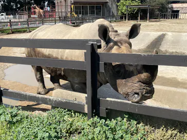 東武動物公園に投稿された画像（2026/4/6）