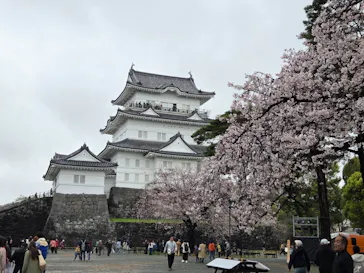 小田原城に投稿された画像（2026/4/6）